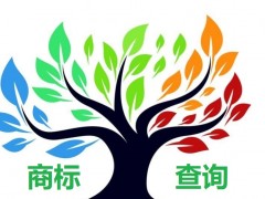 如何應(yīng)對(duì)商標(biāo)查詢盲期？